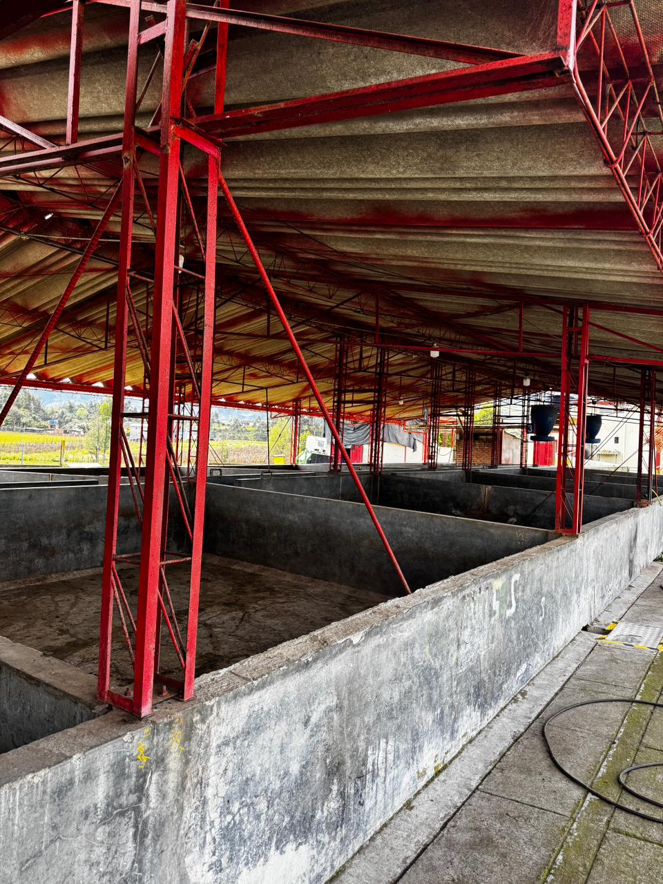 Instalaciones de sacrificio porcino