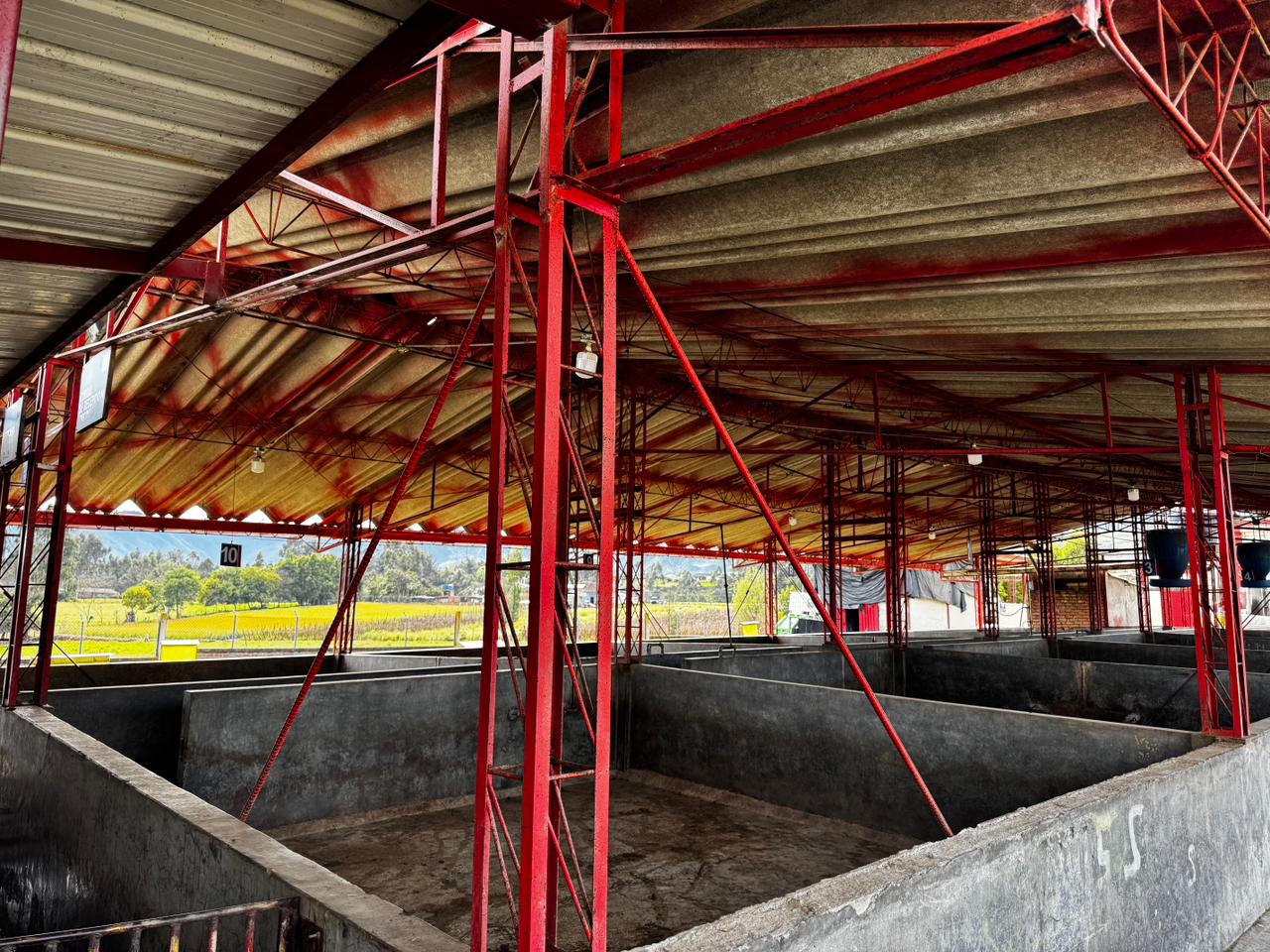 Planta de sacrificio porcino Frigovito