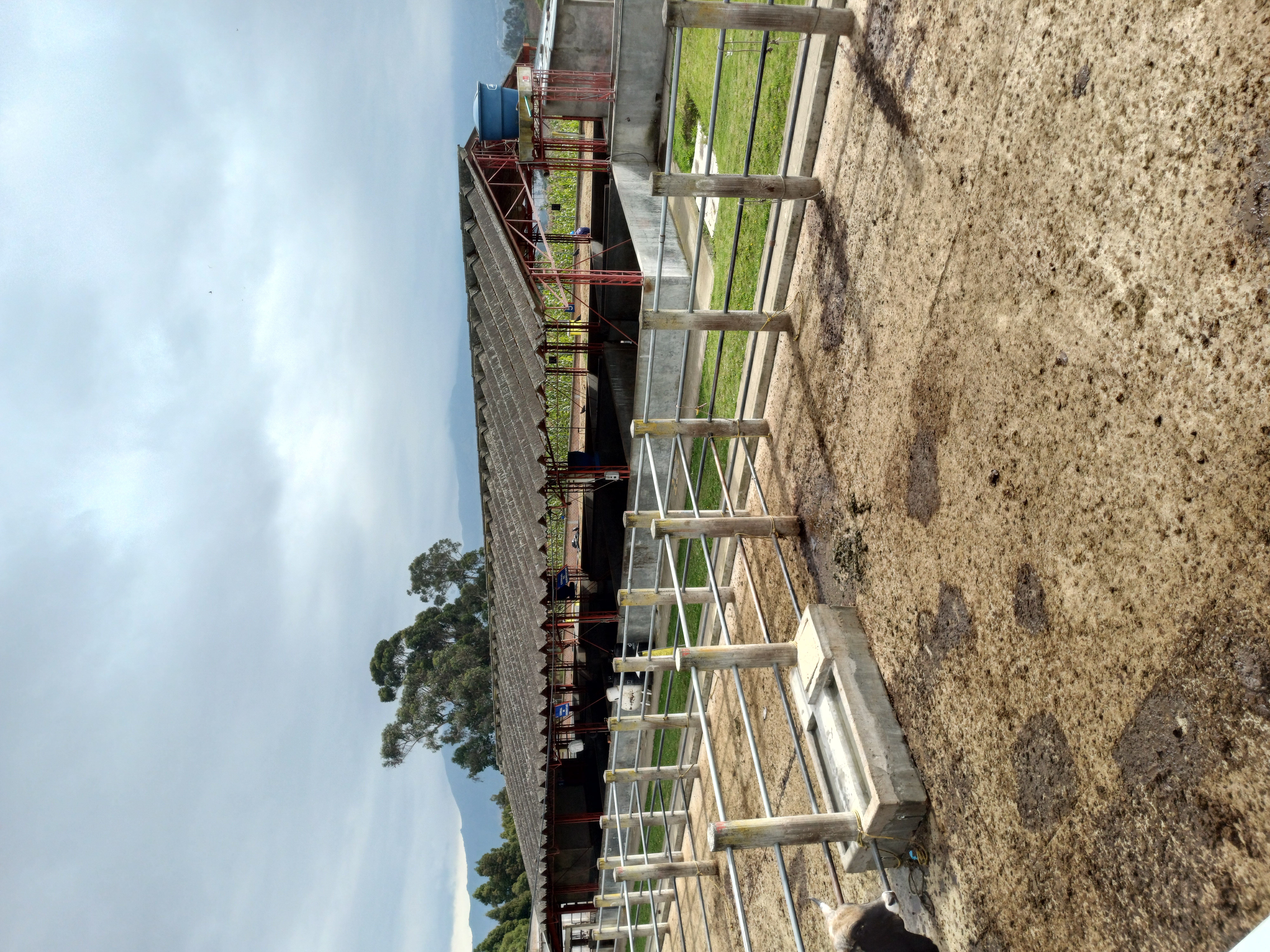 Planta de sacrificio porcino Frigovito