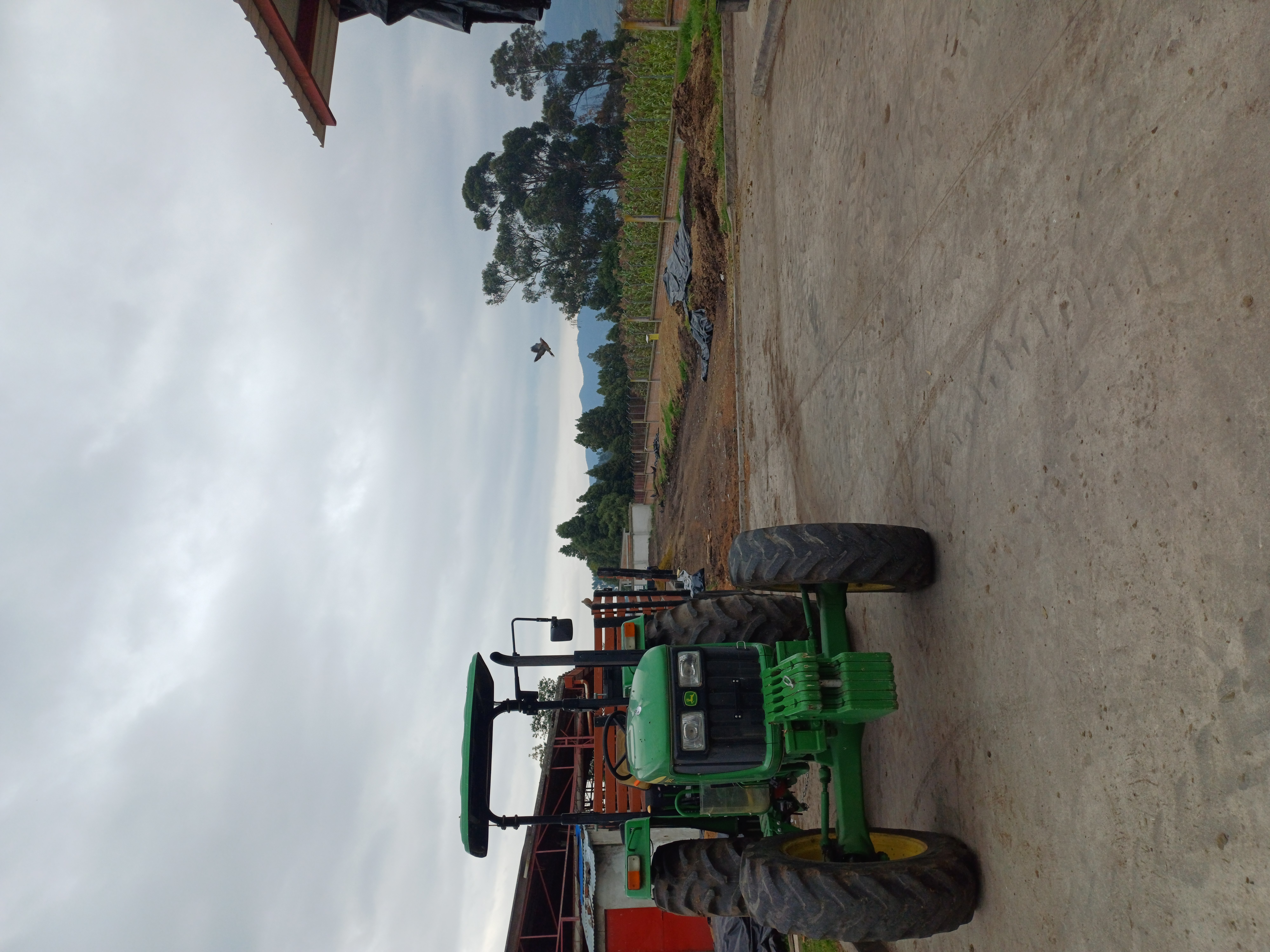 Corrales de ganado Frigovito